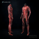 Conjunto Completo Flash - injustice 2 ( Traje Cosplay )